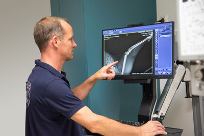 Diagnostik - Tierarzt Bonitz